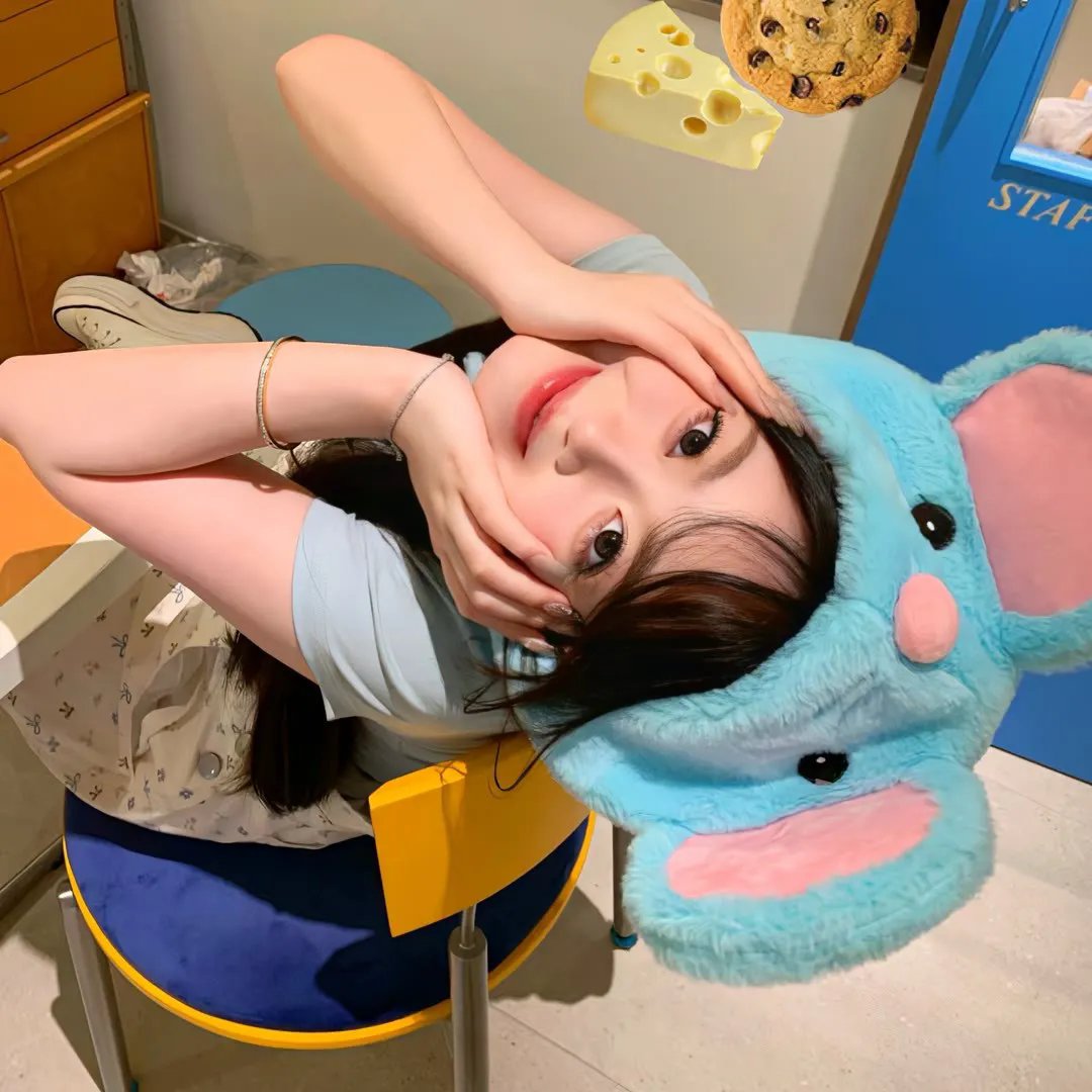 双星觅宝